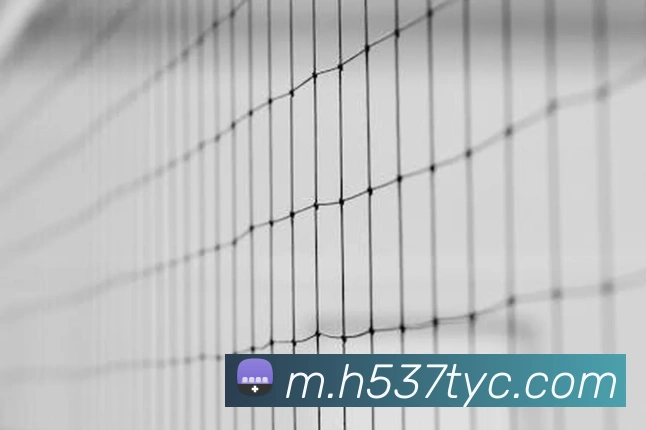 平台使命图